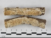 登錄號:F0033370藏品圖，第1張