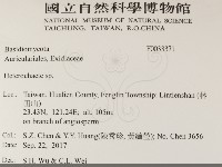 Accession Number:F0033371 Collection Image, Figure 2, Total 2 Figures