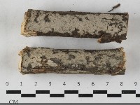 Accession Number:F0033371 Collection Image, Figure 1, Total 2 Figures