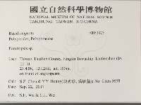 登錄號:F0033373藏品圖，第2張