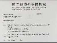 硬孔菌屬藏品圖，第2張