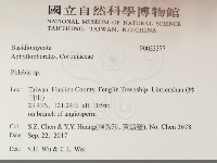 射脈菌屬藏品圖，第2張