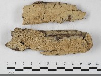 登錄號:F0033378藏品圖，第2張