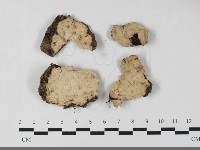 登錄號:F0033380藏品圖，第1張