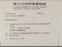 登錄號:F0033381藏品圖，第2張