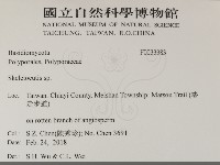 骨皮菌屬藏品圖，第2張