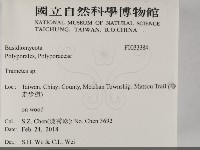 栓菌屬藏品圖，第2張