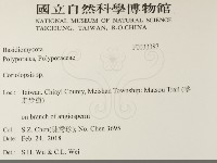登錄號:F0033387藏品圖，第2張