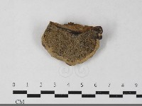 登錄號:F0033387藏品圖，第1張