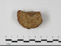 登錄號:F0033387藏品圖，第3張