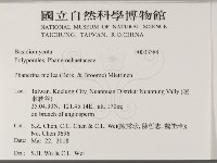 登錄號:F0033388藏品圖，第2張