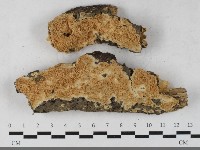 登錄號:F0033388藏品圖，第1張