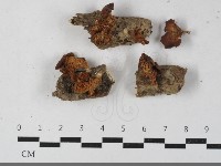 登錄號:F0033389藏品圖，第1張