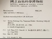 登錄號:F0033391藏品圖，第2張