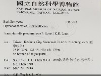 登錄號:F0033392藏品圖，第2張