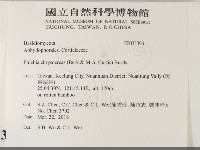 登錄號:F0033393藏品圖，第2張