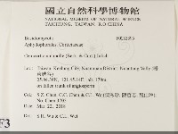 登錄號:F0033395藏品圖，第2張