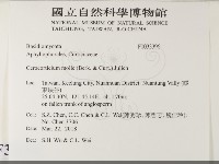 登錄號:F0033396藏品圖，第2張