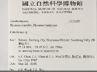 登錄號:F0033397藏品圖，第2張