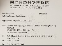 剛毛絲皮菌藏品圖，第2張