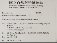 登錄號:F0033399藏品圖，第2張