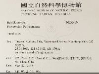 登錄號:F0033400藏品圖，第2張