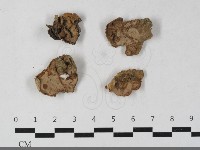 登錄號:F0033401藏品圖，第1張