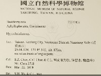 登錄號:F0033402藏品圖，第2張