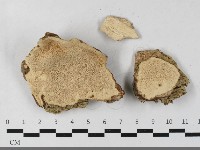 登錄號:F0033403藏品圖，第1張