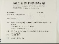 容氏菌屬藏品圖，第2張