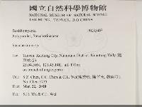 齒耳菌屬藏品圖，第2張