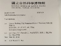 登錄號:F0033409藏品圖，第2張