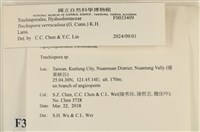 登錄號:F0033409藏品圖，第3張