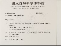 容氏菌屬藏品圖，第2張
