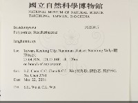 容氏菌屬藏品圖，第2張