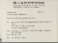 登錄號:F0033421藏品圖，第2張