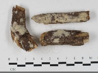 登錄號:F0033421藏品圖，第1張