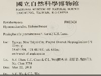 登錄號:F0033424藏品圖，第2張