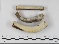 登錄號:F0033424藏品圖，第1張