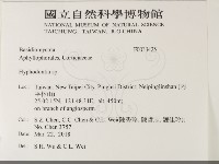 絲齒菌屬藏品圖，第2張