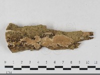 登錄號:F0033426藏品圖，第1張