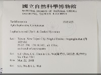 登錄號:F0033427藏品圖，第2張
