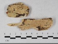 登錄號:F0033428藏品圖，第1張