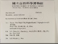 登錄號:F0033429藏品圖，第2張