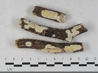 登錄號:F0033429藏品圖，第1張