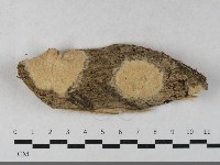 登錄號:F0033430藏品圖，第1張