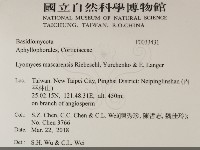 登錄號:F0033431藏品圖，第2張