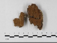 登錄號:F0033433藏品圖，第1張