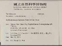 登錄號:F0033436藏品圖，第2張