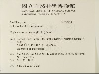 剛毛絲皮菌藏品圖，第2張